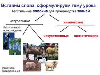 Текстильные волокна для производства тканей
____________
____________
Вставим слова, сформулируем тему урока
химические
синтетические
искусственные
Растительного
происхождения
Животного
происхождения
натуральные
 
