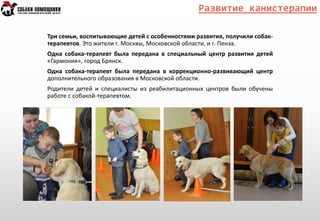 Развитие канистерапии
Три семьи, воспитывающие детей с особенностями развития, получили собак-
терапевтов. Это жители г. Москвы, Московской области, и г. Пенза.
Одна собака-терапевт была передана в специальный центр развития детей
«Гармония», город Брянск.
Одна собака-терапевт была передана в коррекционно-развивающий центр
дополнительного образования в Московской области.
Родители детей и специалисты из реабилитационных центров были обучены
работе с собакой-терапевтом.
 
