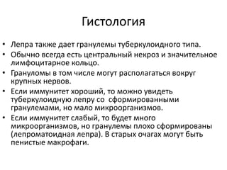 Гистология
• Лепра также дает гранулемы туберкулоидного типа.
• Обычно всегда есть центральный некроз и значительное
лимфоцитарное кольцо.
• Грануломы в том числе могут располагаться вокруг
крупных нервов.
• Если иммунитет хороший, то можно увидеть
туберкулоидную лепру со сформированными
гранулемами, но мало микроорганизмов.
• Если иммунитет слабый, то будет много
микроорганизмов, но гранулемы плохо сформированы
(лепроматоидная лепра). В старых очагах могут быть
пенистые макрофаги.
 