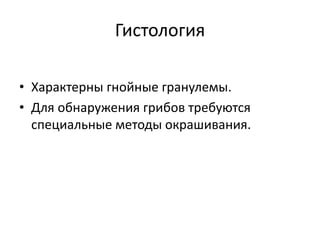 Гистология
• Характерны гнойные гранулемы.
• Для обнаружения грибов требуются
специальные методы окрашивания.
 