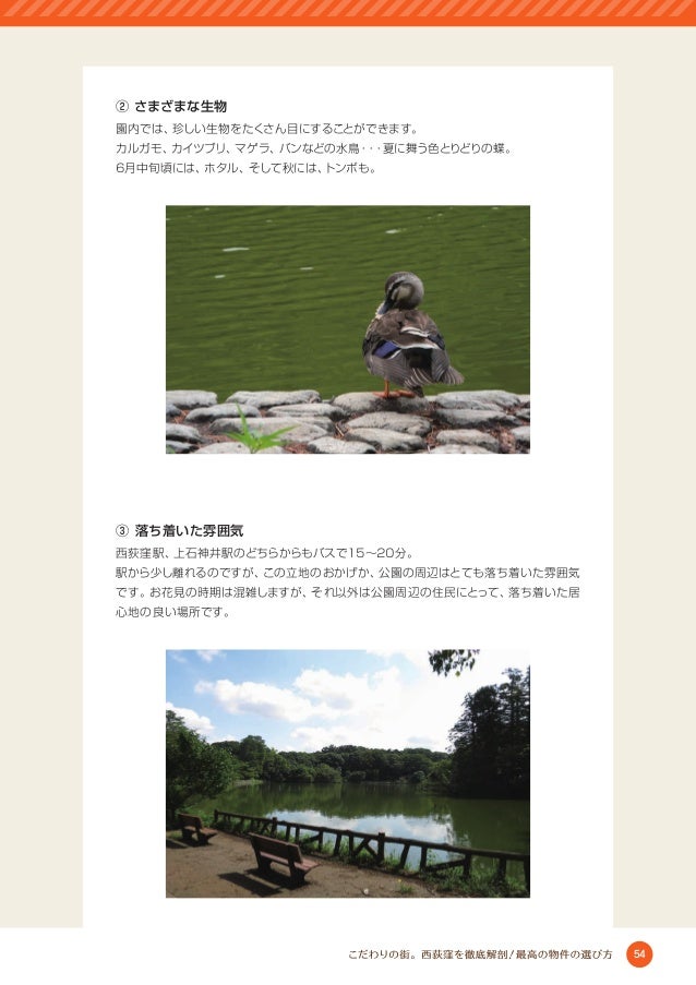 こだわりの街 西荻窪を徹底解剖 最高の物件の選び方