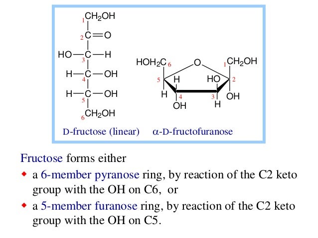 د مصطفى طه محمد Carbohydrates الكاربوهيدرات