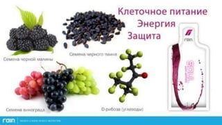 Клеточное питание в профилактике стоматологических заболеваний | PPT