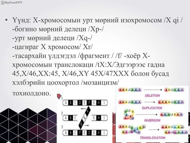 бэлгийн хромосомын эмгэгүүд | PPT