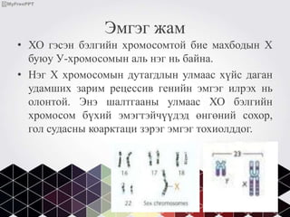бэлгийн хромосомын эмгэгүүд | PPT