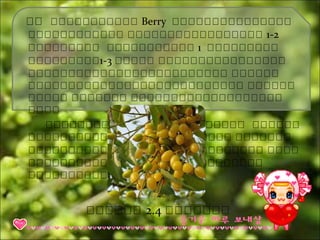 ผผ เเเเเเเเเเเ Berry เเเเเเเเเเเเเเเ
เเเเเเเเเเเเ เเเเเเเเเเเเเเเเเ 1-2
เเเเเเเเเ เเเเเเเเเเเ 1 เเเเเเเเเ
เเเเเเเเเ1-3 เเเเเ เเเเเเเเเเเเเเเเ
เเเเเเเเเเเเเเเเเเเเเเเเเ เเเเเเ
เเเเเเเเเเเเเเเเเเเเเเเเเเเ เเเเเเ
เเเเเ เเเเเเเ เเเเเเเเเเเเเเเเเเเ
เเเเ
เเเเเเเเเเเเเเเเเเเเเเเเเ เเเเเเ
เเเเเเเเเเเเเเเเเเเ-เเเเเเ เเเเเเเ
เเเเเเเเเเเเเเเเเเเเเ-เเเเเเเเ เเเเ
เเเเเเเเเเเเเเเเเเ เเเเเเเเเเเ
เเเเเเเเเเเเเ
เเเเเเ 2.4 เเเเเเเ
 