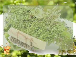 40
12-14
Azadirachtin
 