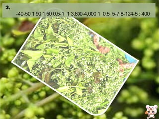 2.
-40-50 1 90 1 50 0.5-1 1 3,800-4,000 1 0.5 5-7 8-124-5 : 400
 