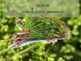 1.
25x 25 x 25
2.
4-5 20-30 -(1-2 ) 5-7 Azadirachtin 10
 