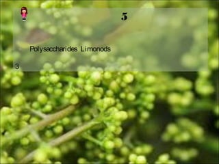 5
Polysaccharides Limonods
3
 