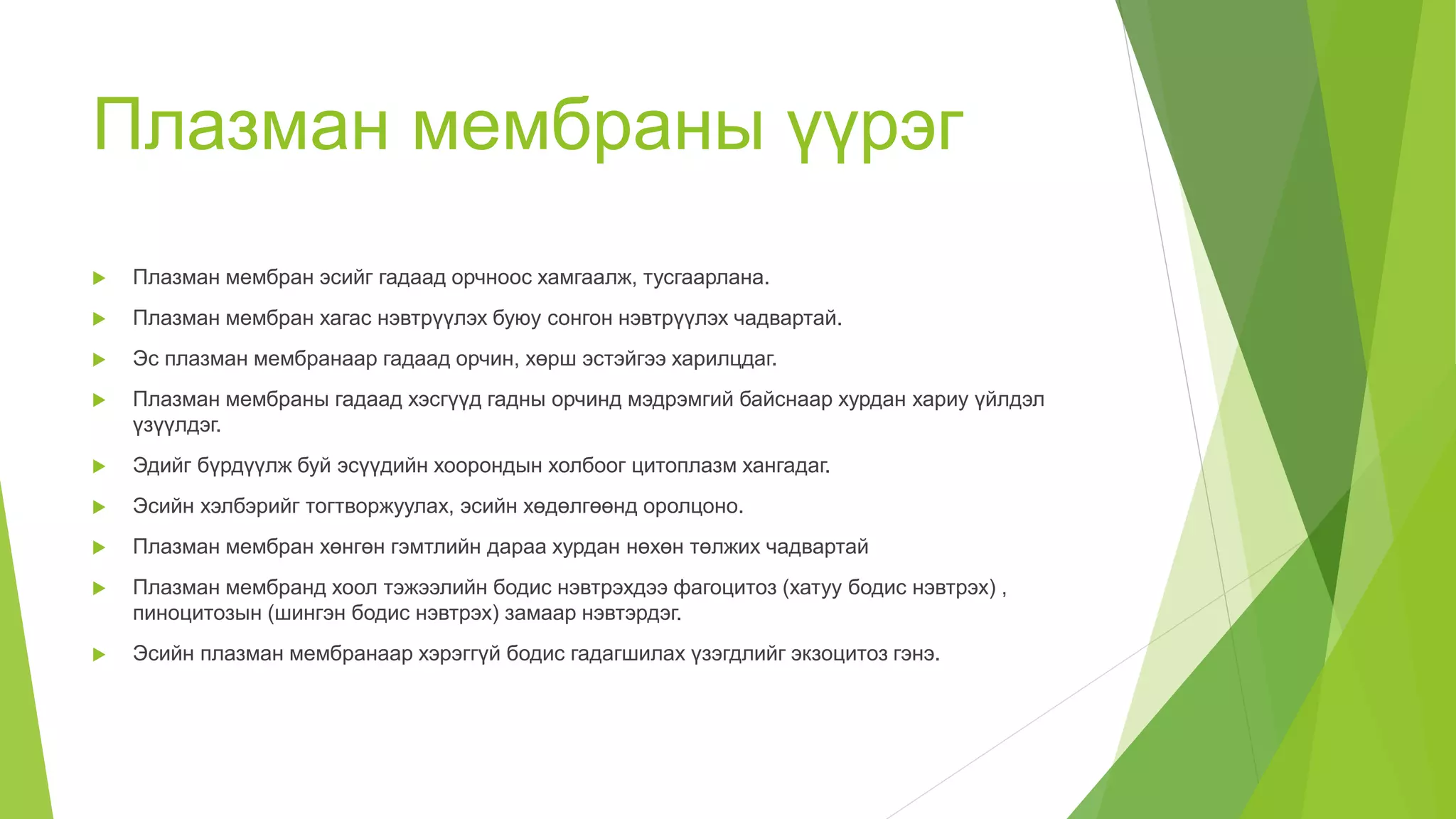 эсийн бүтэц | PPT