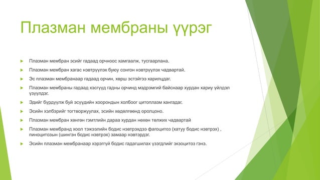 эсийн бүтэц | PPT