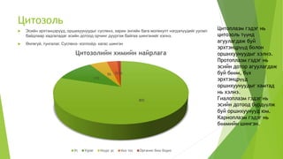 эсийн бүтэц | PPT