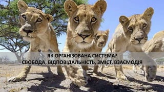 ЯК ОРГАНІЗОВАНА СИСТЕМА?
СВОБОДА, ВІДПОВІДАЛЬНІСТЬ, ЗМІСТ, ВЗАЄМОДІЯ
 