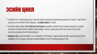 эсийн хуваагдал | PPT