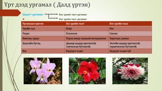 Биологийн төрөл зүйл | PPT