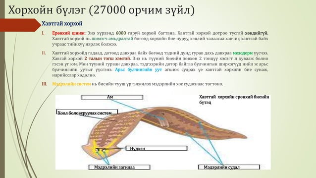 Биологийн төрөл зүйл
