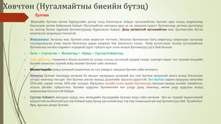 Биологийн төрөл зүйл | PPT
