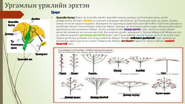 Биологийн төрөл зүйл
