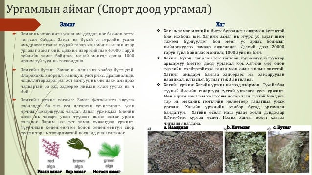 Биологийн төрөл зүйл