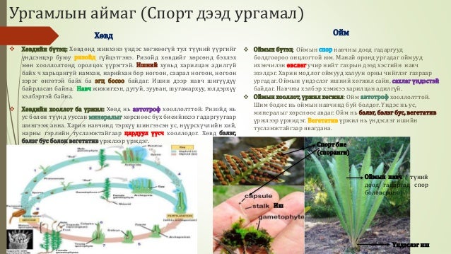 Биологийн төрөл зүйл