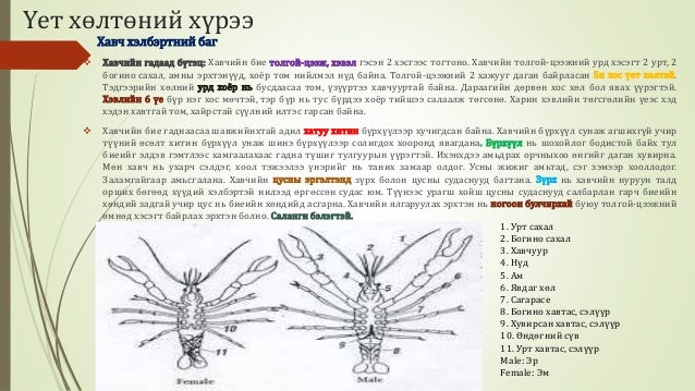 Биологийн төрөл зүйл