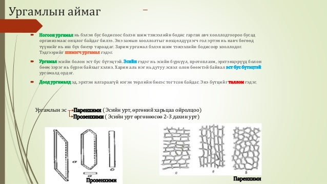 Биологийн төрөл зүйл