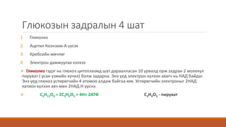 Бодис болон энергийн солилцоо | PPT