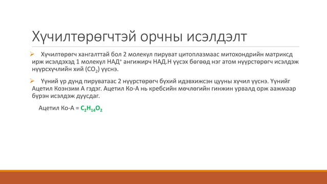 Бодис болон энергийн солилцоо | PPT