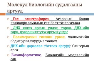 эсийн молекул биологийн днх | PPT