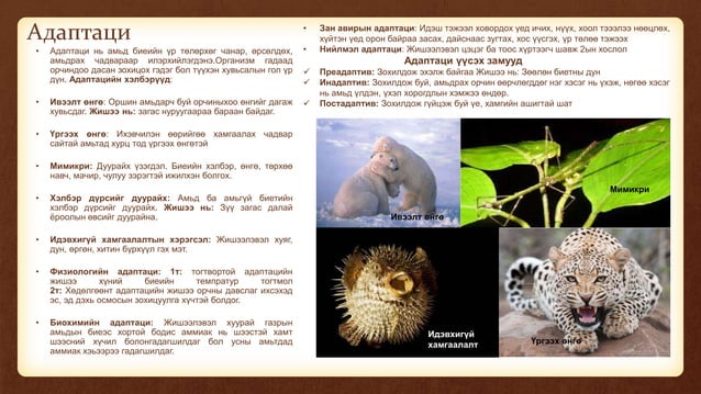Эволюцийн онол | PPT