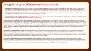 Амьдралын үүсэл (Орчин үеийн таамаглал)
• Каоацерватын таамаглал: Амьгүй зүйлээс амьдрал үүсэх тухай А.И.Опарины томъёоллыг хожим нь Бунберг Де Йонга-ийн туршилт дээр үндэслэн
амьдарлын үүслийн таамаглал болгон хөгжүүлсэн. Таамаглалын үндэс биогенезын эхэнд уургийн бүтэц үүссэн гэж үздэг. Усанд ууссан янз бүрийн
нүүрстөрөгчтэй органик бодисын уусмалууд өөрсдөө салж нийлэх ( каоацерват) явцад маш жижиг анхдагч уургийн бүтэц буюу протобионт үүсч, орчноос
мембранаар тусгаарлагдахын зэрэгцээ амин хүчил, глюкоз, катализаторуудыг шингээн авч, энгийн метаболизмыг явуулж эхэлсэн.Коацерватууд
шалгаралд орох замаар анхдагч уураг буюу протобионтууд үүссэн гэж үздэг.
• Биохимийн эволюци явагддаг тухай онол: Темпратур 4000-6000℃ байна. Хүчилтөрөгчгүй орчин, дэгдэмтгий хийнүүд тус тусдаа, металууд исэлдсэн
хэлбэртэй байна. Дэлхий дээрх амьдралын үе шатыг 3 хувааж болно:
1т: Органик бус молекулаас энгийн органик нэгдэл үүсэх (Амьгүй зүйлээс амьдрал үүсэх тухай А.И.Опарины таамаглал гаригуудын масс нарныхтай
харьцуулахад бага учир гаригуудын дээрхи цөмийн урвал нарнаас эрт дуусаж царцаж эхэлсэн гаригууд эргэсээр хүнд атомууд дороо хөнгөн нь шигшигдэн
дээшлих замаар бүрэлддэг гэж үзжээ. Организм нь гол төлөд хөнгөн элементүүдээс тогтоно. Гадаргын темпратур 2000℃ хүртэл буухад элдэв янзын химийн
нэгдлүүд үүсэв.Үүнд: H2O, CH4 -метан, CO2 ,NH3 , HCN-силиний хүчил ба H2, N2_ O2 зэрэг үүссэн. Дэлхийн гадаргын темпратур маш удаан хугацаанд халуун
байсан бөгөөд 100 ℃ болтлоо буух үед үер бороо орж эхлэн хэдэн мянган жил үргэлжилсээр, газрын гадаргын хонхрууд усаар дүүрч далай, тэнгисүүд үүсчээ.
Халуун борооны дараачаар хиймийн элементүүд урвалд оржанхны органик нэгдэл үүсэхэд аянга цахилгаан болон хэт ягаан туяа зэрэг нь онцгой үүрэг
гүйцэтгэсэн.
2т: Нийлмэл нарийн полимер нэгдэл үүсэх: Органик бодисын өтгөрөх процесс, амьдрал үүсэхэд бодисын жигд тархалт биш түүний өтгөрөлт гадаад
орчиноосоо тусгаарлагдан биеэ даасан амьд систем амьд систем үүссэн нь чухал юм.Өндөр молекулт нэгдэл өөрсдөө өтгөрөн бөөгнөрч, коацерватыг
бүрдүүлэх чадвартай байдаг. Коацерватын дуслууд зарим шинжээрээ амьд бие төсөөсэй. Уусмалыг шингээх нь хооллохтой, уусмалыг шингээсний үр дүнд
өснө, шингээсэн уусмалууд хоорондоо урвалд орж урвалын бүтээгдэхүүн гадагшилана гэх мэт. Коацерватын дуслууд амьдралын төлөөний тэмцэлтэй ижил
зүйлд орж , гададд орчиндоо илүү зохицсон дуслууд нь бүрэн бүтэн үлддэг байна.
3т: Молекул өөрийгөө нөхөн төлжүүлэх чадвартай болсон үзэгдэл: Өөрөө өөрийгөө бүтээдэг анхны молекул нь энгийн полинуклеотид байсан
бололтой.Тэдгээр нь бэлэн органик бодисоор хооллодогтул жинхэнэ гетеротроф байсан ба одоогийн вирустай төстэй.Цаашидаа амьд биеийн тоо олширч
хоол тэжээл хүрэлцэхээ байснаар хоорондоо тэмцэлд орж илүү идэвхитэй нь мэнд үлдэх удамшил хувьслын санамсаргүй олдсон шинж тэмдэгээр баяжив.
Энгийн нүүрстөрөгчит нэгдэлээс хиймийн эволюцийн дүнд өндөр полимер нэгдлүүд, анхны бүдүүлэг биетэнүүд үүссэн.
 