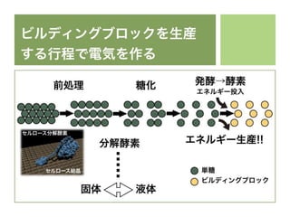 UTokyo 500kY