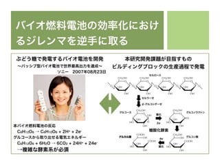 UTokyo 500kY