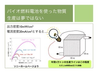 UTokyo 500kY
