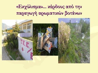 «Εκχύλισμα»... κέρδους από την«Εκχύλισμα»... κέρδους από την
παραγωγή αρωματικών βοτάνωνπαραγωγή αρωματικών βοτάνων
 