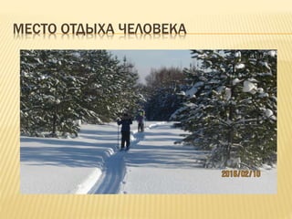 МЕСТО ОТДЫХА ЧЕЛОВЕКА
 