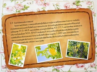 ราชพฤกษ์