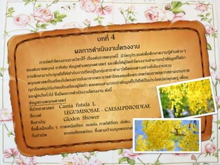 ราชพฤกษ์