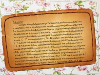 ราชพฤกษ์