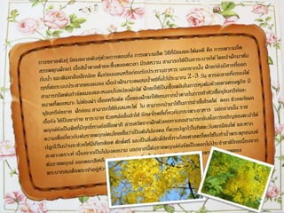 ราชพฤกษ์
