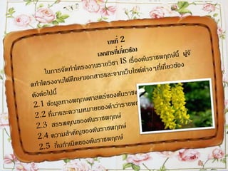 ราชพฤกษ์
