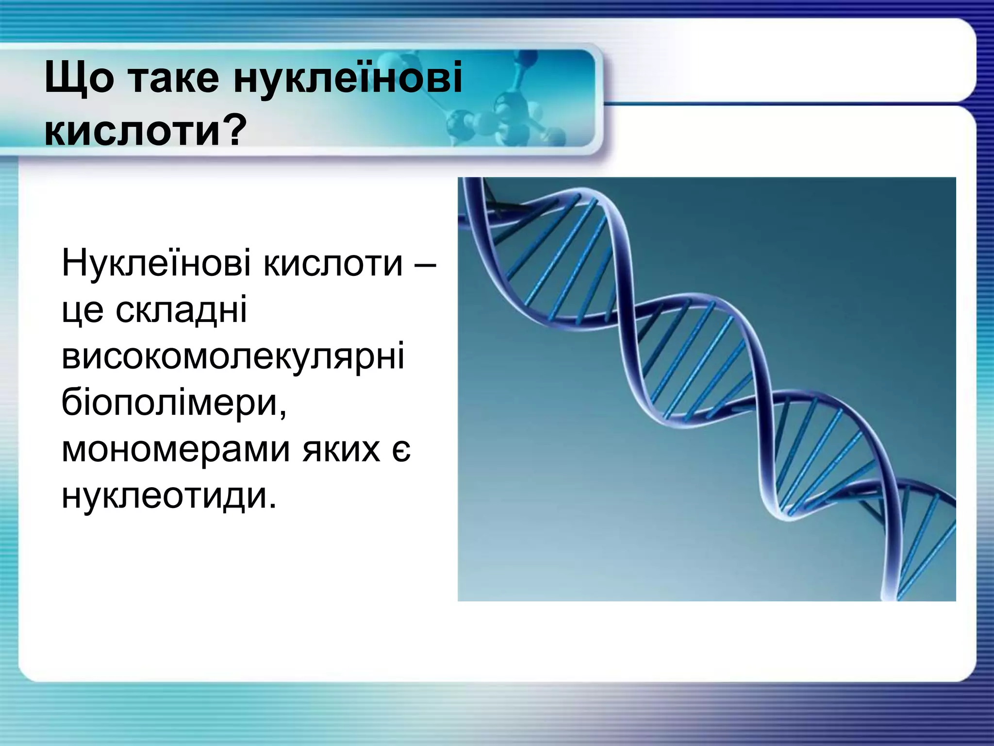 Що таке нуклеїнові
кислоти?
Нуклеїнові кислоти –
це складні
високомолекулярні
біополімери,
мономерами яких є
нуклеотиди.
 