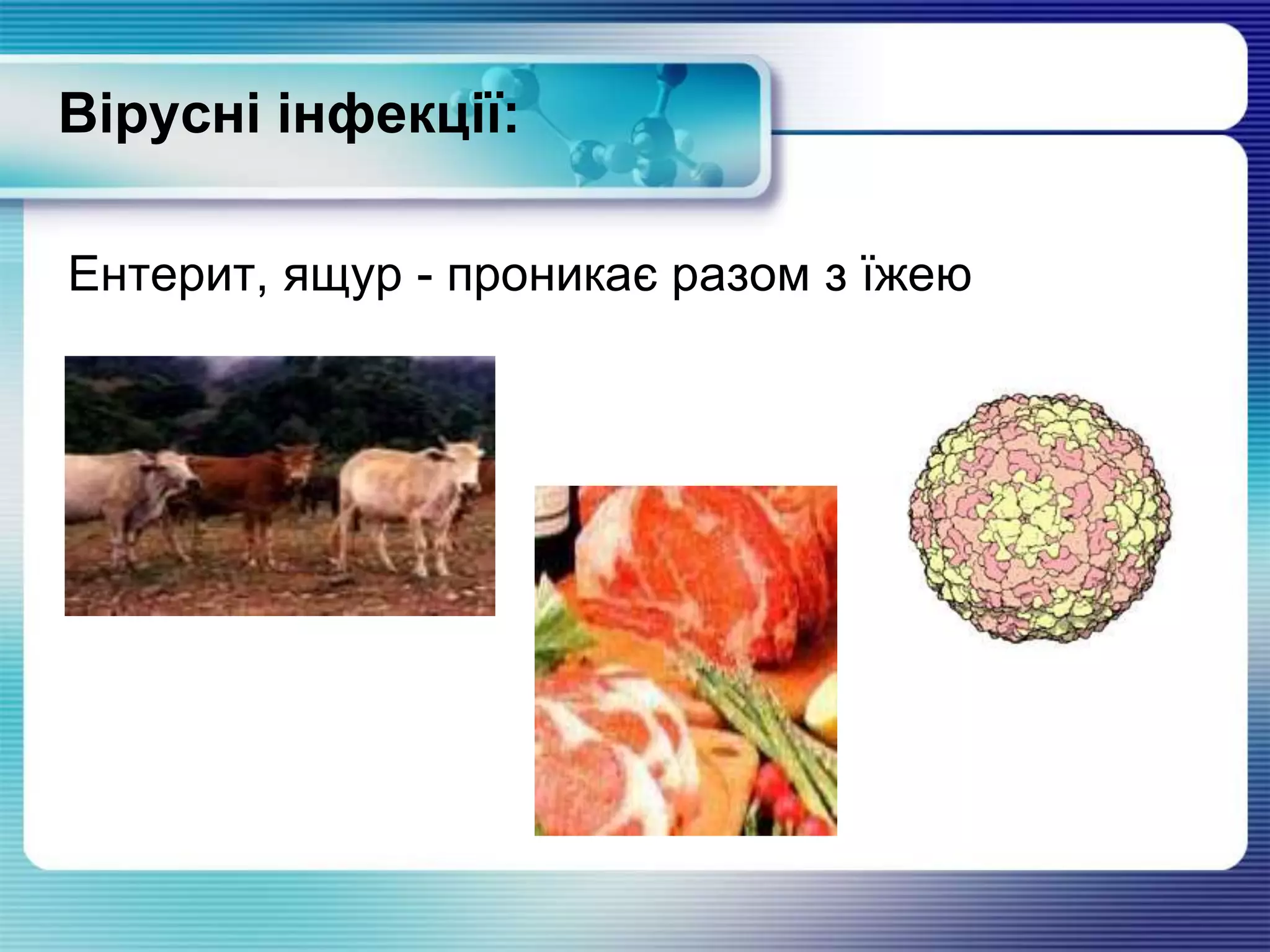 Вірусні інфекції:
Ентерит, ящур - проникає разом з їжею
 