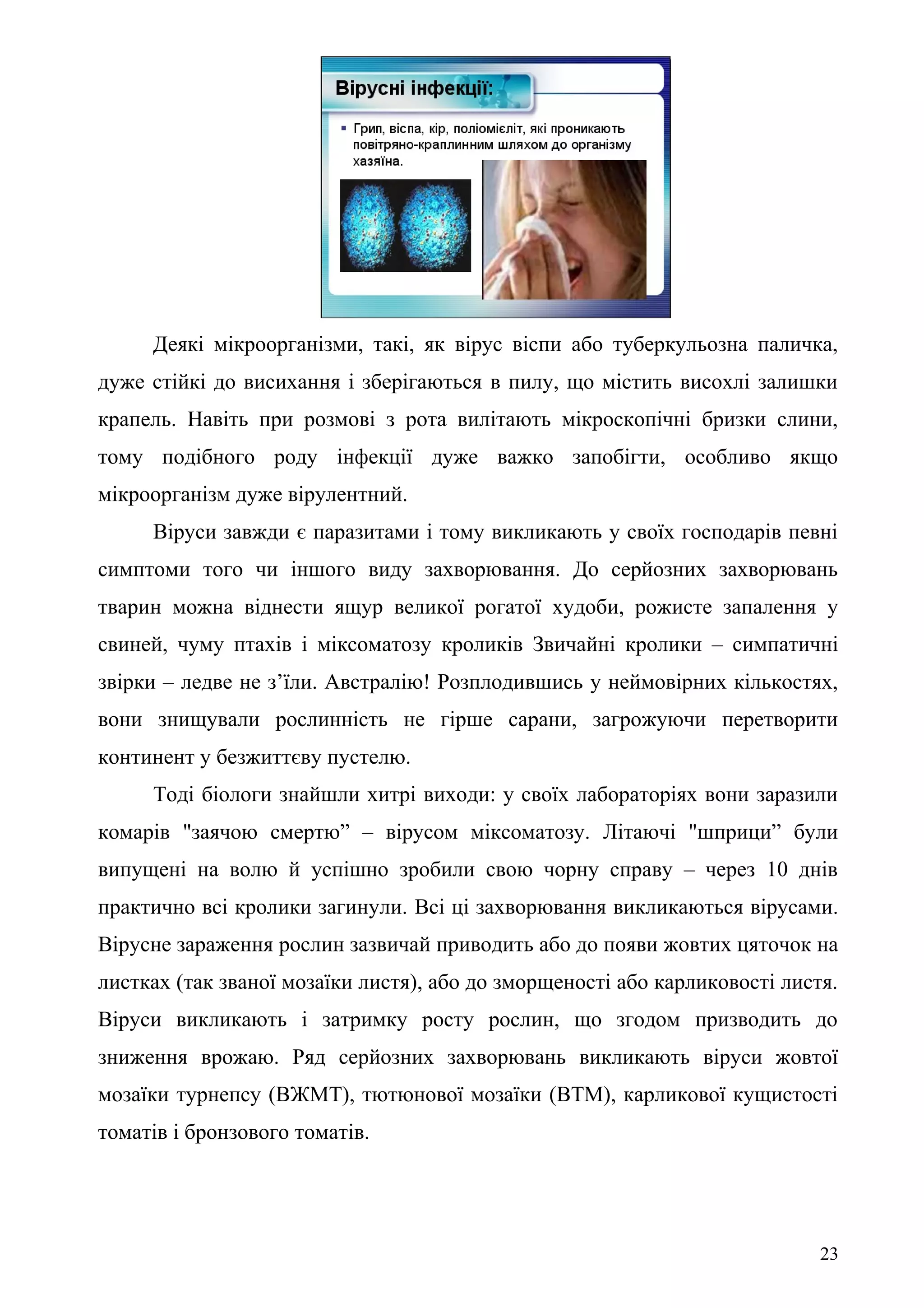 Деякі мікроорганізми, такі, як вірус віспи або туберкульозна паличка,
дуже стійкі до висихання і зберігаються в пилу, що містить висохлі залишки
крапель. Навіть при розмові з рота вилітають мікроскопічні бризки слини,
тому подібного роду інфекції дуже важко запобігти, особливо якщо
мікроорганізм дуже вірулентний.
Віруси завжди є паразитами і тому викликають у своїх господарів певні
симптоми того чи іншого виду захворювання. До серйозних захворювань
тварин можна віднести ящур великої рогатої худоби, рожисте запалення у
свиней, чуму птахів і міксоматозу кроликів Звичайні кролики – симпатичні
звірки – ледве не з’їли. Австралію! Розплодившись у неймовірних кількостях,
вони знищували рослинність не гірше сарани, загрожуючи перетворити
континент у безжиттєву пустелю.
Тоді біологи знайшли хитрі виходи: у своїх лабораторіях вони заразили
комарів "заячою смертю” – вірусом міксоматозу. Літаючі "шприци” були
випущені на волю й успішно зробили свою чорну справу – через 10 днів
практично всі кролики загинули. Всі ці захворювання викликаються вірусами.
Вірусне зараження рослин зазвичай приводить або до появи жовтих цяточок на
листках (так званої мозаїки листя), або до зморщеності або карликовості листя.
Віруси викликають і затримку росту рослин, що згодом призводить до
зниження врожаю. Ряд серйозних захворювань викликають віруси жовтої
мозаїки турнепсу (ВЖМТ), тютюнової мозаїки (ВТМ), карликової кущистості
томатів і бронзового томатів.
23
 