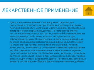ЛЕКАРСТВЕННОЕ ПРИМЕНЕНИЕ
 Цветки ноготков применяют как наружное средство для
полосканий в стоматологии при болезнях полости рта (стоматит,
гингивит, пародонтит, молочница у детей, пиорея, воспалительно-
дистрофическая форма парадонтоза). В гастроэнтерологии
ноготки применяются при гастритах, язвенной болезни желудка и
двенадцатиперстной кишки, колитах, энтероколитах, при
заболеваниях печени. В гинекологии – в виде спринцеваний для
лечения эрозий шейки матки и трихомонадных кольпитов.Также
настой ноготков применяют в виде полосканий при лечении
тонзиллитов, а в комплексе с сульфаниламидными препаратами и
антибиотиками — для лечения ангин; в виде клизм – в терапии
проктитов и парапроктитов.Настойки, мази, эмульсии, свежий сок
растения используют наружно при мелких ранах, порезах, ушибах,
ожогах, фурункулезе, блефаритах.Цветки ноготков лекарственных
входят в состав многих сборов и биологически активных добавок.
 