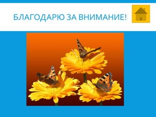 БЛАГОДАРЮ ЗА ВНИМАНИЕ!
 