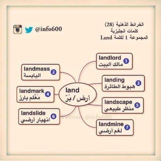 بالخرائط الذهنية أسرع طريقة لحفظ كلمات اللغة الإنجليزية