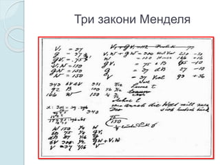 Три закони Менделя
 
