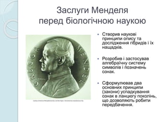 Заслуги Менделя
перед біологічною наукою
 Створив наукові
принципи опису та
дослідження гібридів і їх
нащадків.
 Розробив і застосував
алгебраїчну систему
символів і позначень
ознак.
 Сформулював два
основних принципи
(закони) успадкування
ознак в ланцюгу поколінь,
що дозволяють робити
передбачення.
 